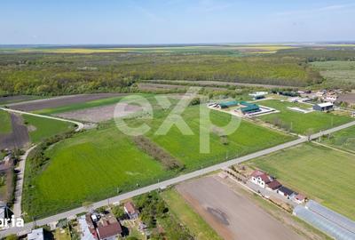 Teren de 105000 mp, în Singureni - 8