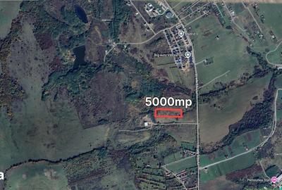 Teren de 5000 mp, în Cristian