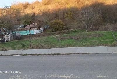 Teren de 5000 mp, în Ghercești - 1