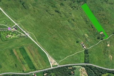 Teren de 8000 mp, în Central