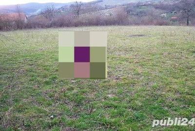 Teren de 5700 mp, în Central