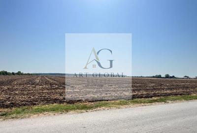 Teren Construcții intravilan de 65600 mp, în Căciulați - 7