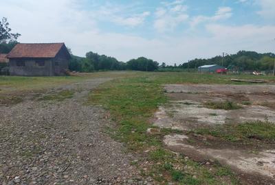 Spațiu comercial, de 9,500 mp, în Pietriș - 7