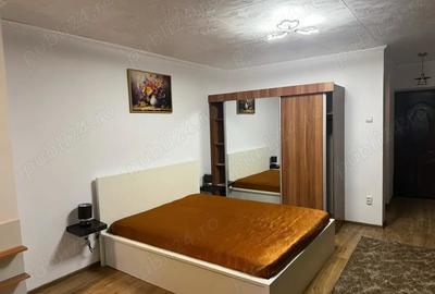 Garsonieră decomandată în Gorjului