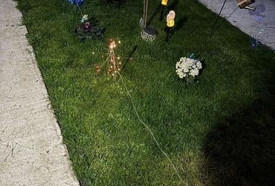 Casă cu 4 camere cu Teren 4000 Mp în Cârcea - 11