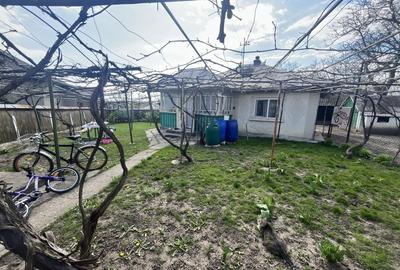 Casă cu 3 camere în Lozna - 3