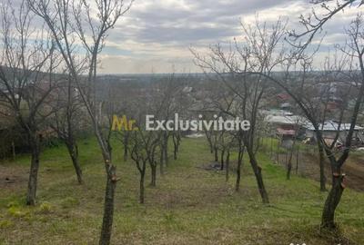 Teren în Călinești
