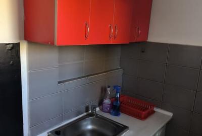 Apartament cu 2 camere în Dosu Bricii - 3