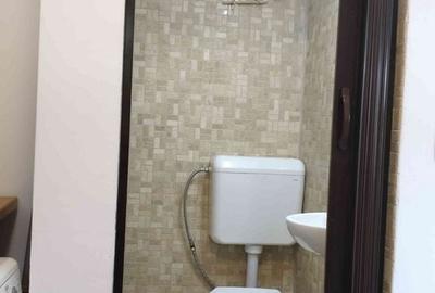 Garsonieră decomandată în Ciupercenii Noi - 8