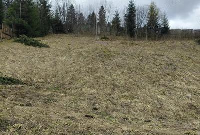 Teren de 1000 mp, în Predeal - 1