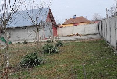 Casă cu Teren 11000 Mp în Pluta - 1