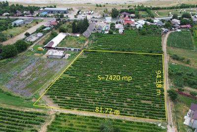 Teren agricol extravilan de 7425 mp, în Central - 1