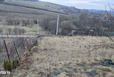 Casă cu 2 camere cu Teren 2900 Mp în Sânpaul - 3