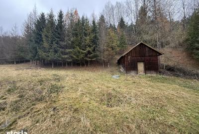 Casă cu 4 camere cu Teren 3937 Mp în Central