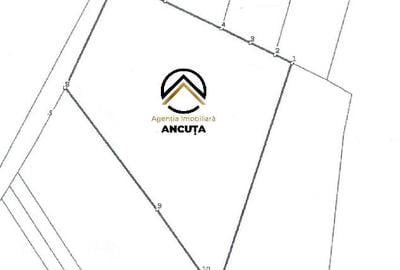 Teren agricol intravilan de 2900 mp, în Chinteni - 2