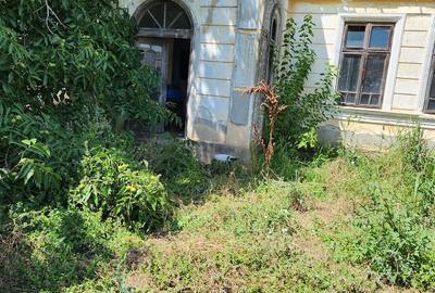 Casă cu Teren 2894 Mp în Segarcea-Vale