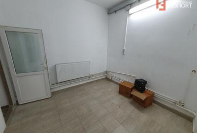 Spațiu industrial, de 246 mp, în Șag - 12