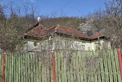 Teren de 4000 mp, în Grabicina de Jos - 3