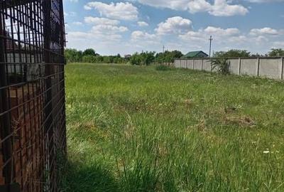 Teren de 3610 mp, în Bucov - 2