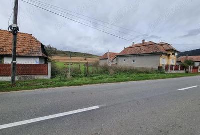 Teren de 2730 mp, în Petrești - 3