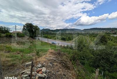Teren de 579 mp, în Gemenea-Brătulești