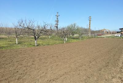 Casă cu 3 camere în Bugeac - 4
