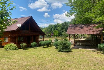 Casă cu 2 camere în Rimetea - 4
