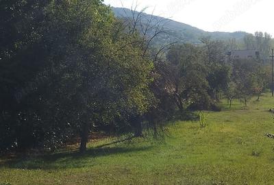 Teren de 2298 mp, în Păușești - 2