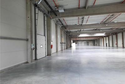 Spațiu industrial, de 900 mp, în Jucu - 6