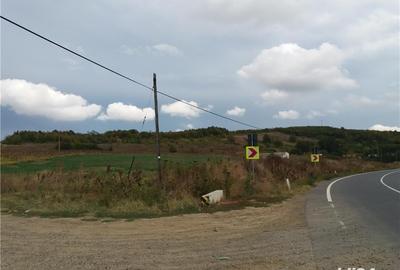Teren de 15000 mp, în Poieni - 2