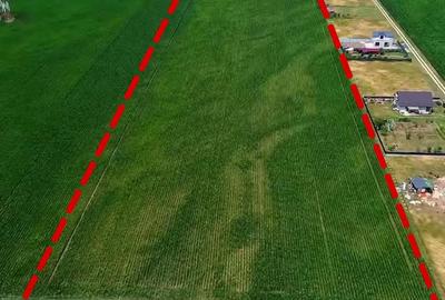 Teren agricol intravilan de 32100 mp, în Hărman - 2