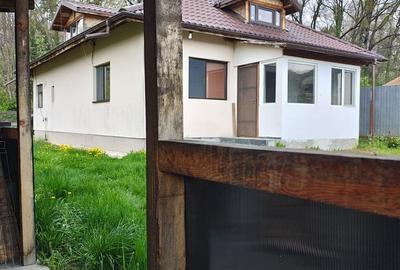 Casă cu 3 camere cu Teren 2370 Mp în Mihăești - 3