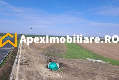 Teren Construcții intravilan de 4600 mp, în Cornetu - 1