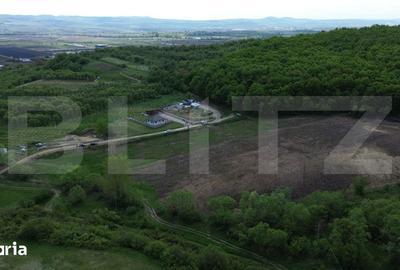 Teren de 15100 mp, în Central - 11