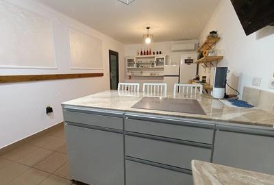 Casă cu 9 camere cu Teren 8000 Mp în Bârsana