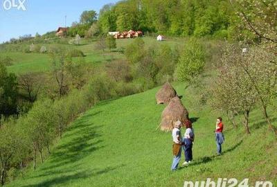 Teren de 18000 mp, în Moneasa - 7