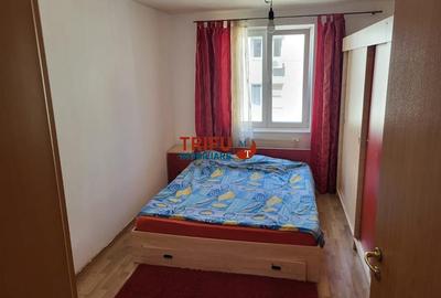 Apartament cu 3 camere semidecomandat, mobilat în Cetate - 8