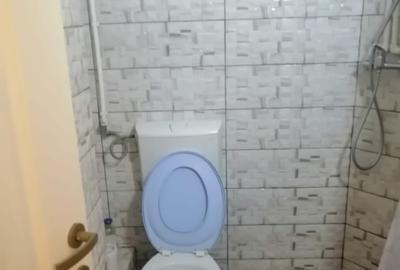 Apartament cu 2 camere semidecomandat în Tudor Vladimirescu - 6