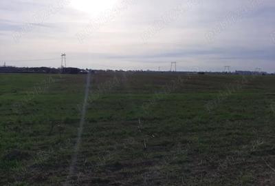 Teren de 18000 mp, în Ciorogârla - 5