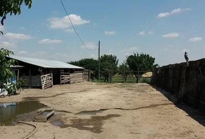 Casă cu 2 camere în Băilești - 10