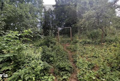 Casă cu 2 camere cu Teren 4000 Mp în Iara