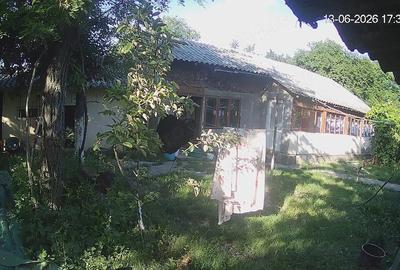 Casă cu Teren 5000 Mp în Cornu - 6