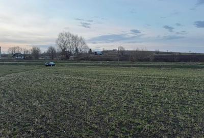 Teren de 7000 mp, în Pârteștii de Jos