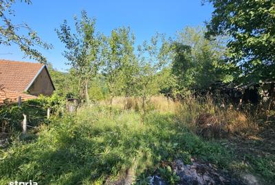 Casă cu 3 camere cu Teren 8338 Mp în Dobra