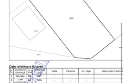 Teren agricol intravilan de 1600 mp, în Tăuții-Măgherăuș - 9