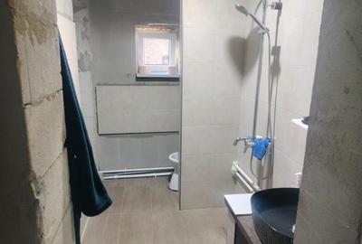 Casă cu 2 camere în Dragu - 2