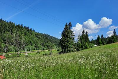Teren de 3836 mp, în Malul Ursului - 2