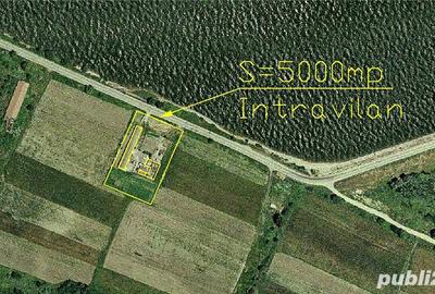 Teren de 5000 mp, în Batoți - 3