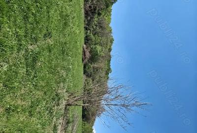 Teren de 1400 mp, în Curteni