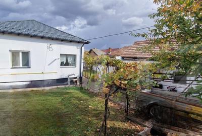 Casă cu 6 camere cu Canalizare în Lascăr Catargiu